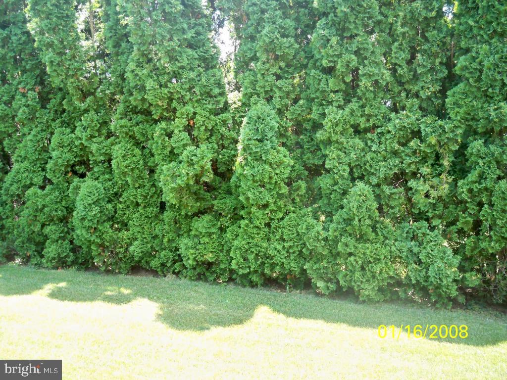 30 Skyview Lane Lititz, PA 17543 - Photo 13 of 20 Gallery Image 13