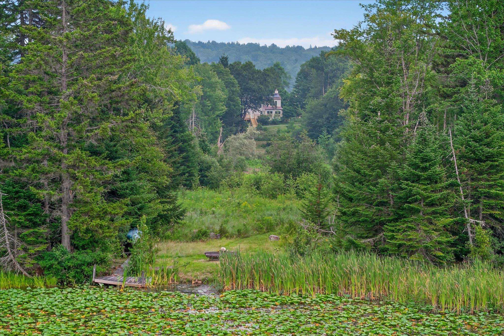 3400 Healdville Road Mount Holly, VT 05730 - Photo 11 of 60 Gallery Image 11