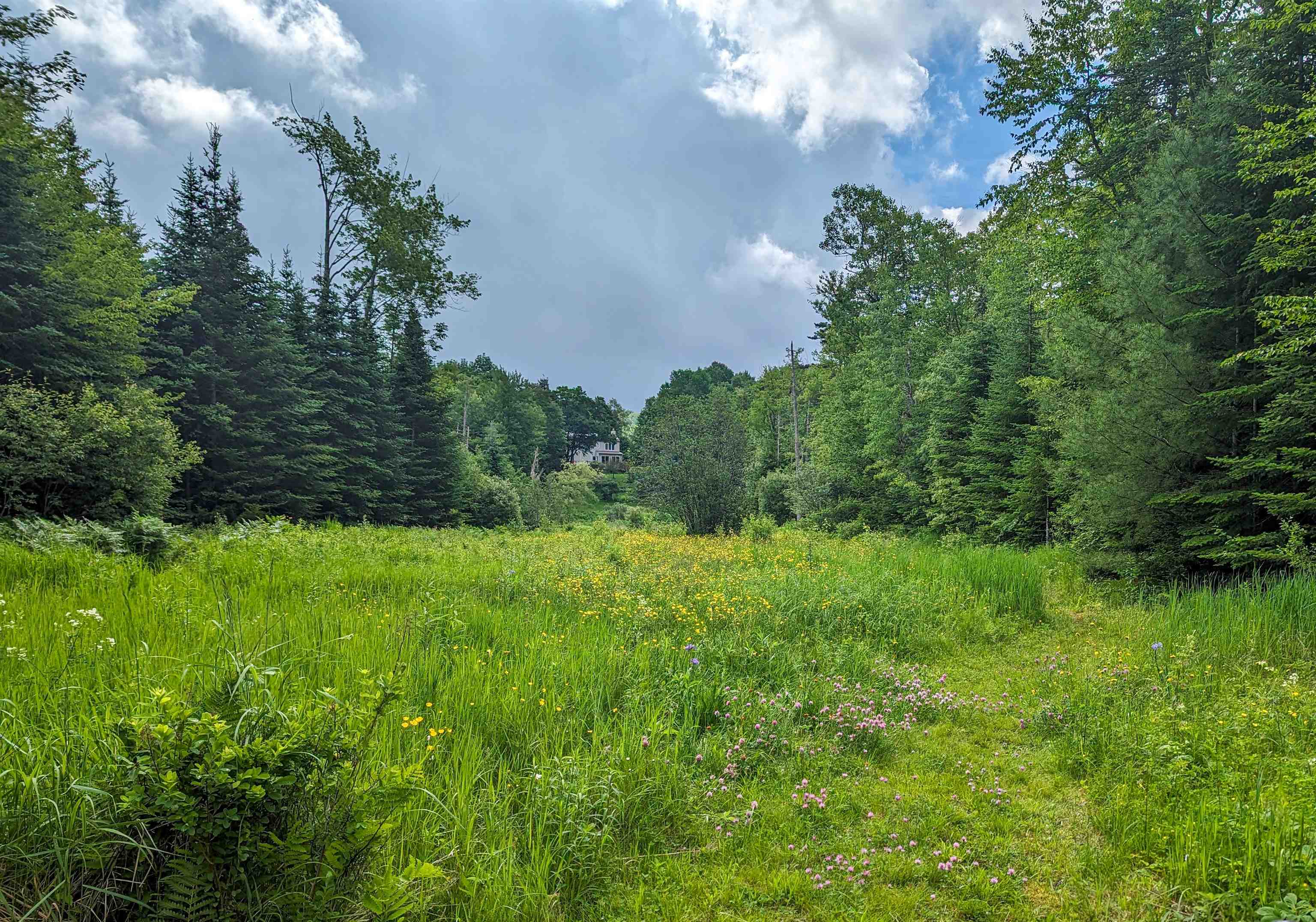 3400 Healdville Road Mount Holly, VT 05730 - Photo 53 of 60 Gallery Image 53
