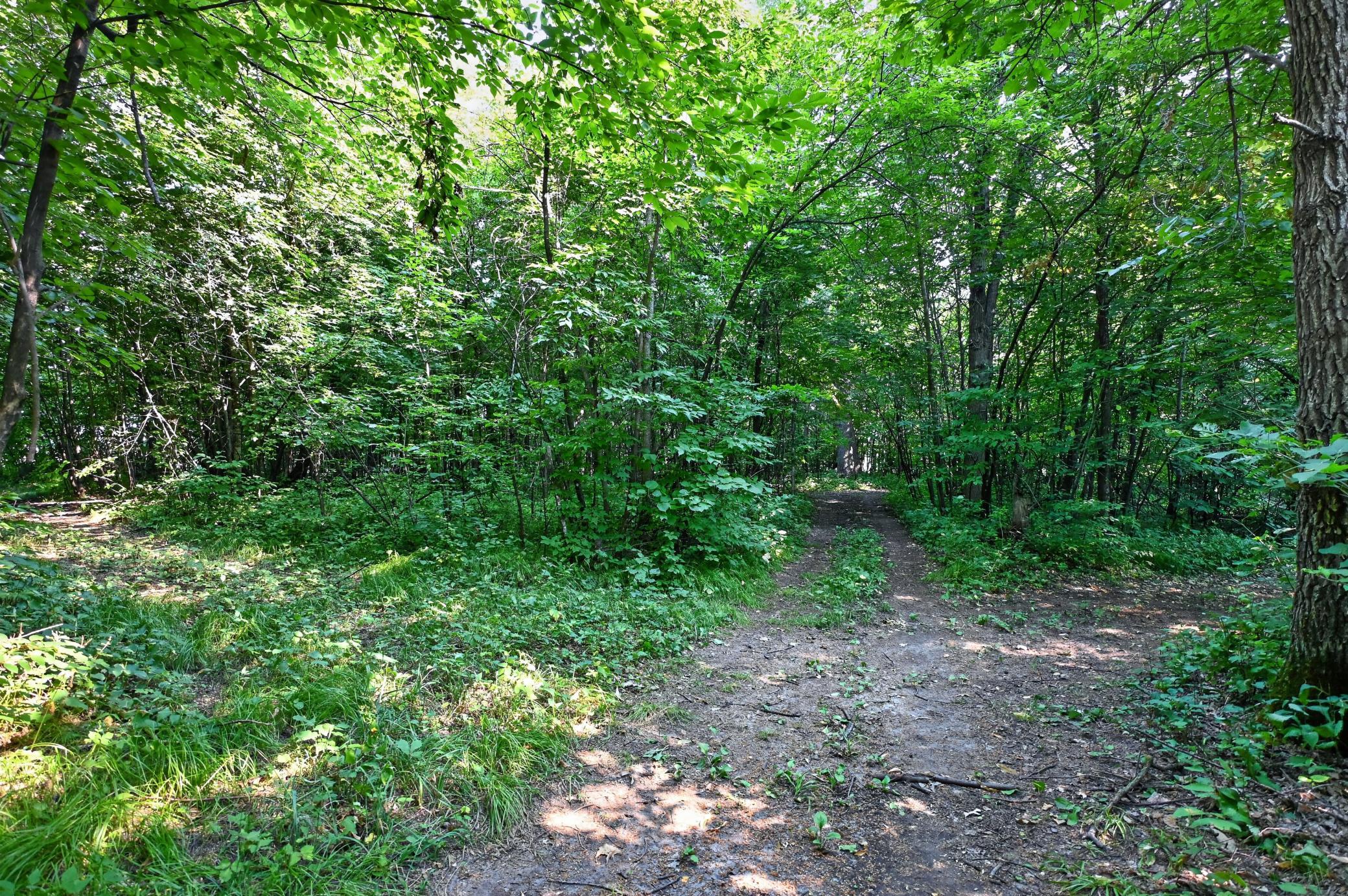Tbd Johnson Road Northeast Nelson, MN 56355 - Photo 8 of 19