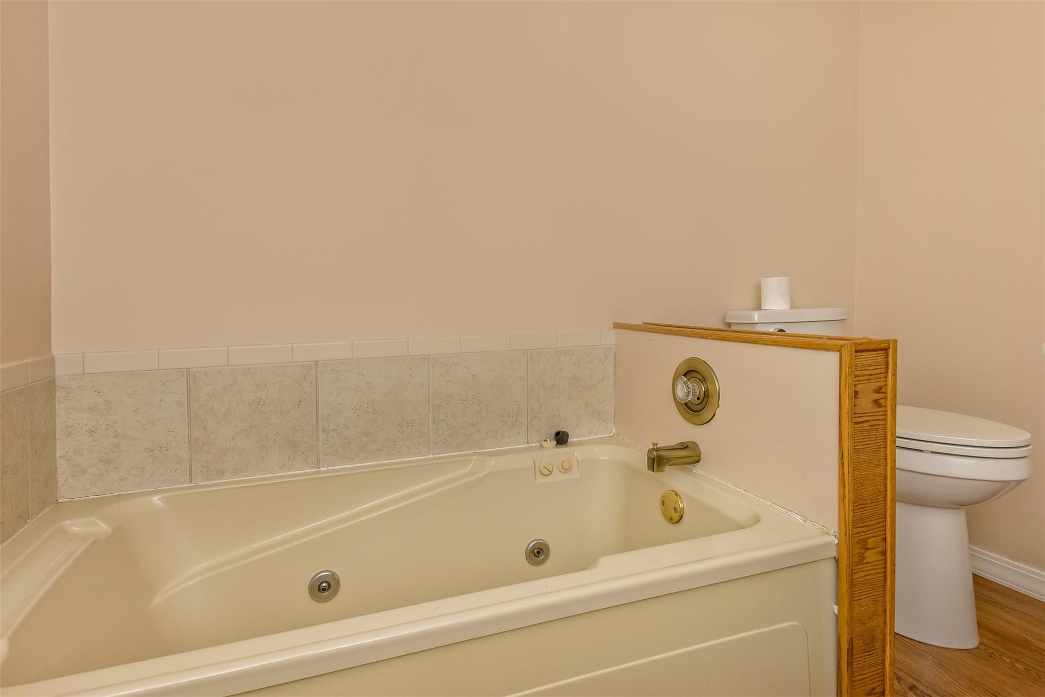 124 Beaverdam Loop Road Candler, NC 28715 - Photo 20 of 25 a bathroom with a bathtub and a toilet