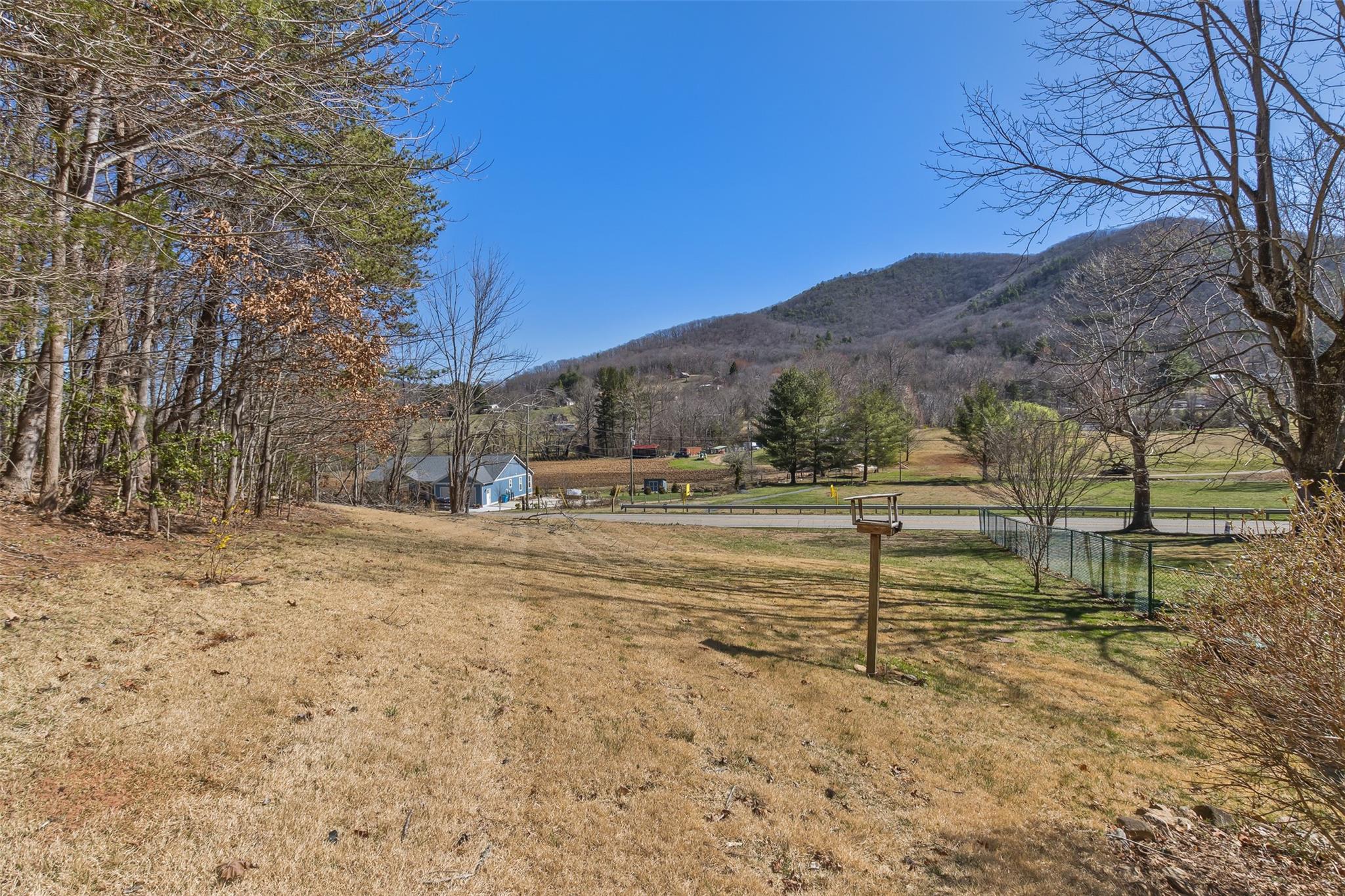124 Beaverdam Loop Road Candler, NC 28715 - Photo 7 of 25 a view of dirt yard with a large tree