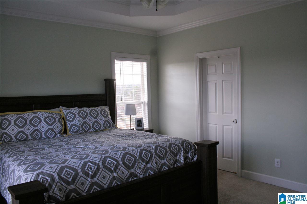 815 MacDonald Lk Road Springville, AL 35146 - Photo 10 of 23