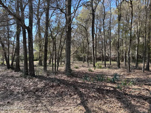 $90,000 | 1951 Redfish Run Southwest, Supply, NC 28462