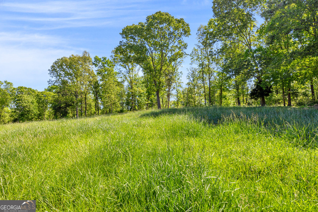 965 Goose Neck Road Eastanollee, GA 30538 - Photo 12 of 19 a yard with lots of green space and trees in the background