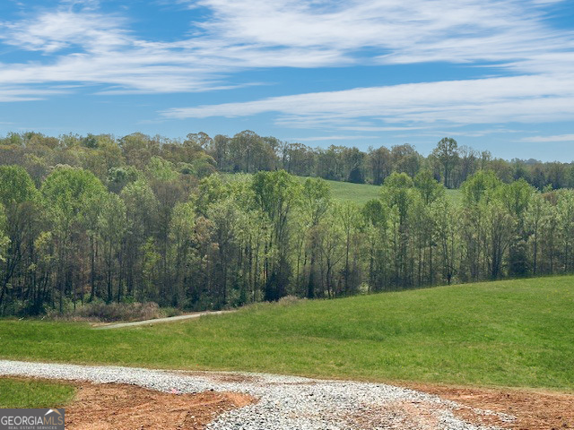 965 Goose Neck Road Eastanollee, GA 30538 - Photo 14 of 19 a view of a yard with an trees
