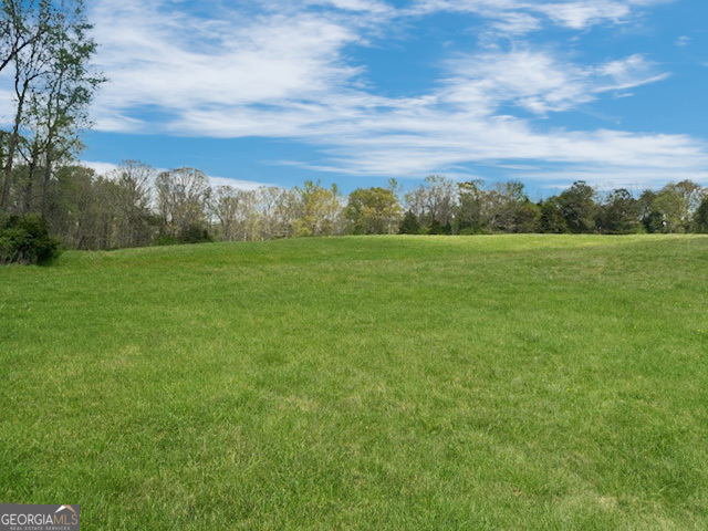 965 Goose Neck Road Eastanollee, GA 30538 - Photo 16 of 19