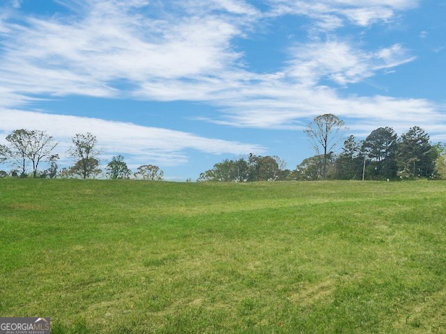 965 Goose Neck Road Eastanollee, GA 30538 - Photo 17 of 19 a view of a green field with clear sky