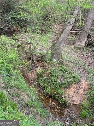 965 Goose Neck Road Eastanollee, GA 30538 - Photo 18 of 19 a view of a yard with plants and a bench