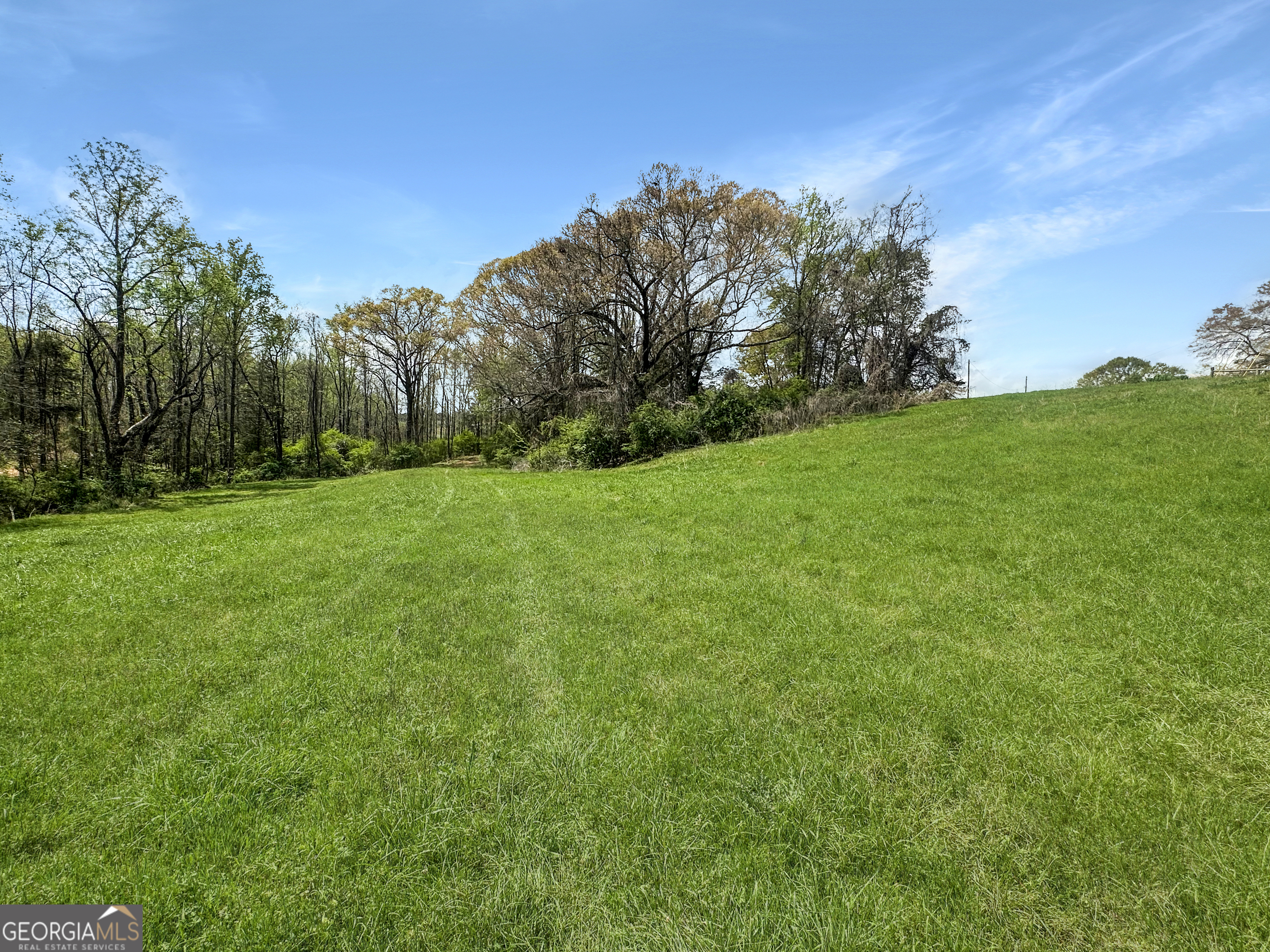 965 Goose Neck Road Eastanollee, GA 30538 - Photo 2 of 19 a view of a grassy field with trees in the background