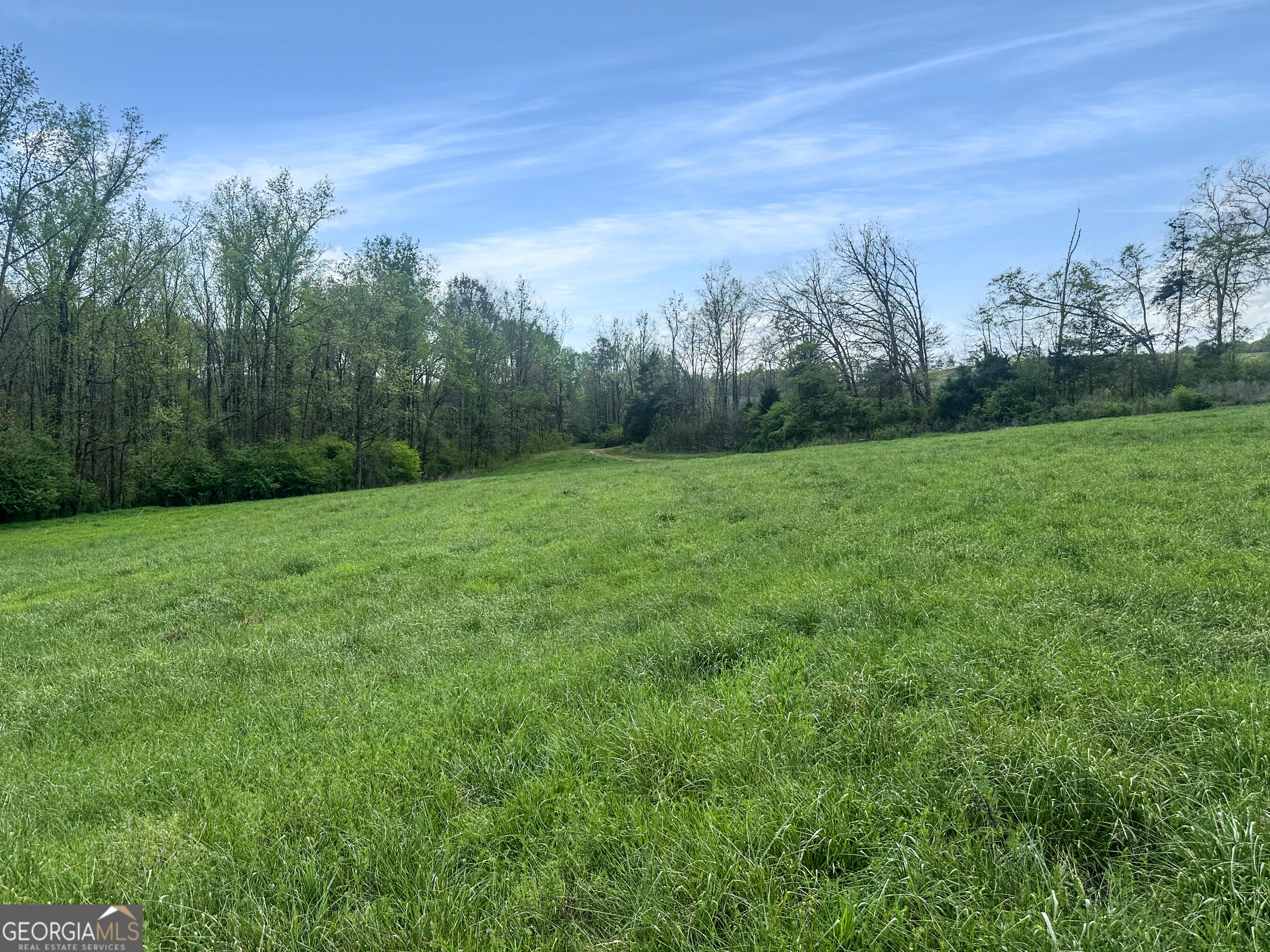 965 Goose Neck Road Eastanollee, GA 30538 - Photo 3 of 19 a view of a grassy field with trees in the background