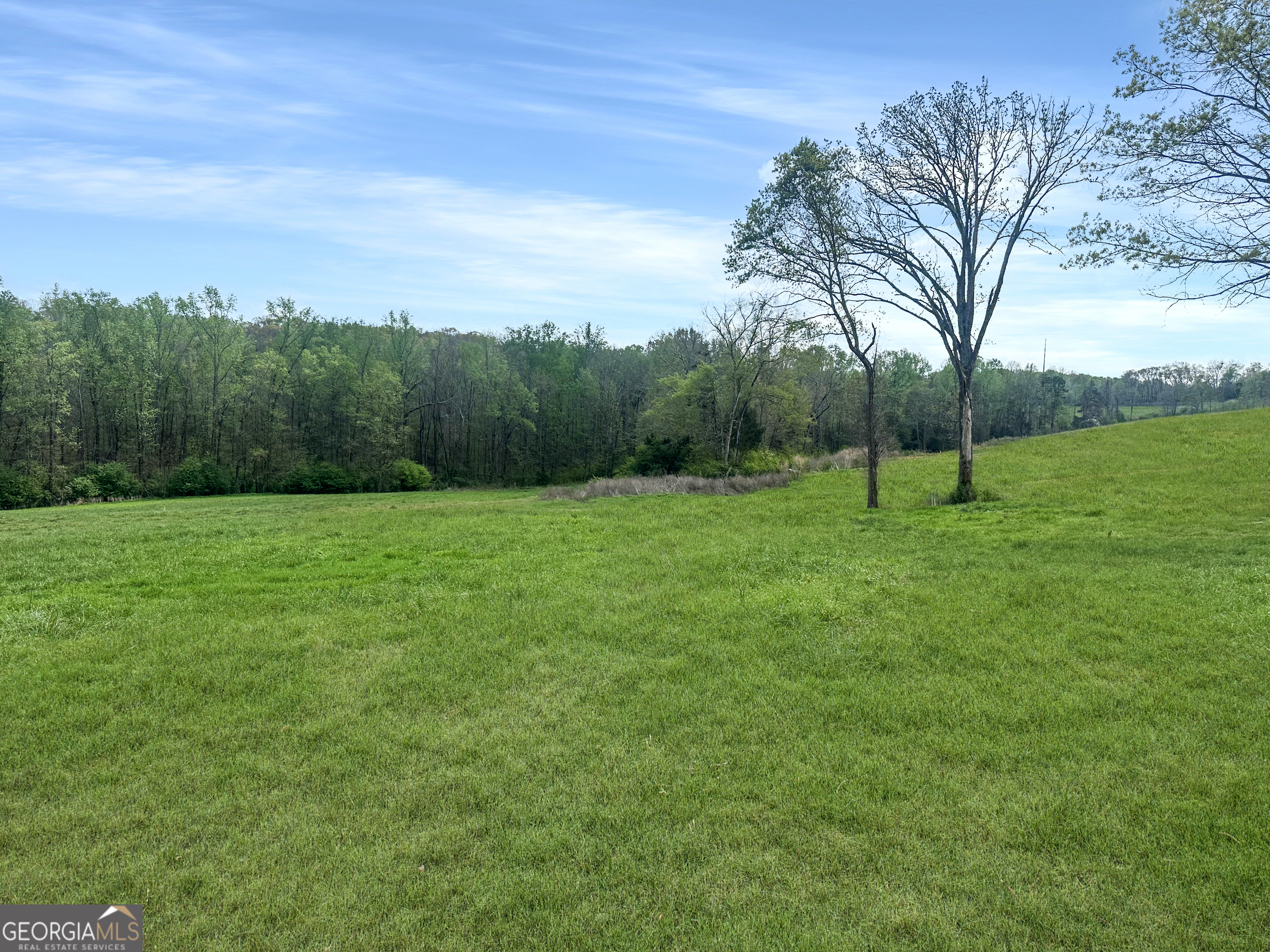 965 Goose Neck Road Eastanollee, GA 30538 - Photo 4 of 19 a view of outdoor space with green field and trees all around