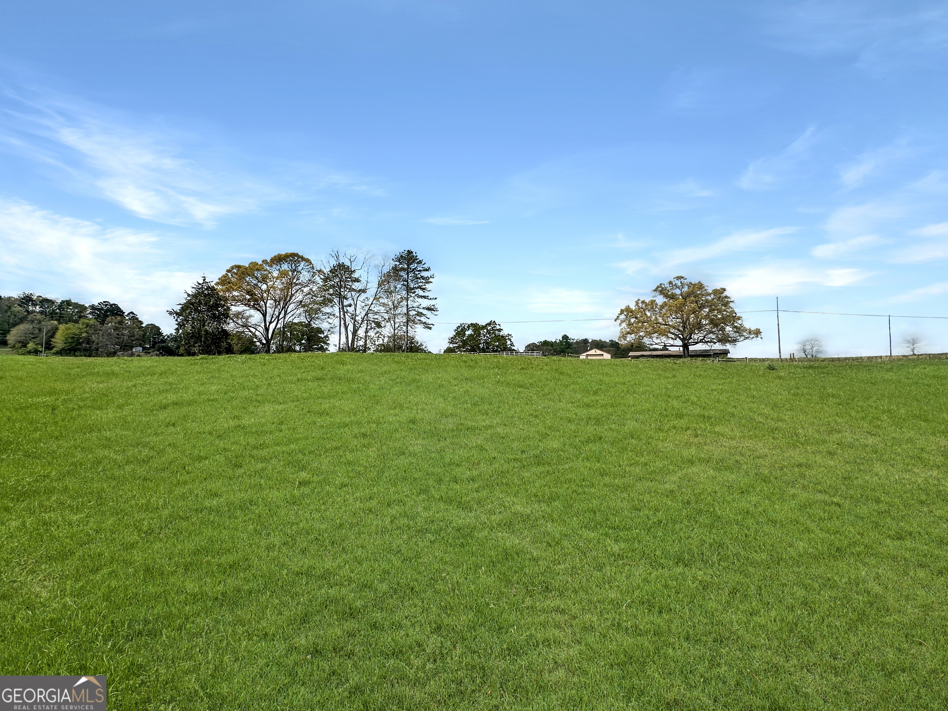 965 Goose Neck Road Eastanollee, GA 30538 - Photo 8 of 19 a view of a tree in front of a house