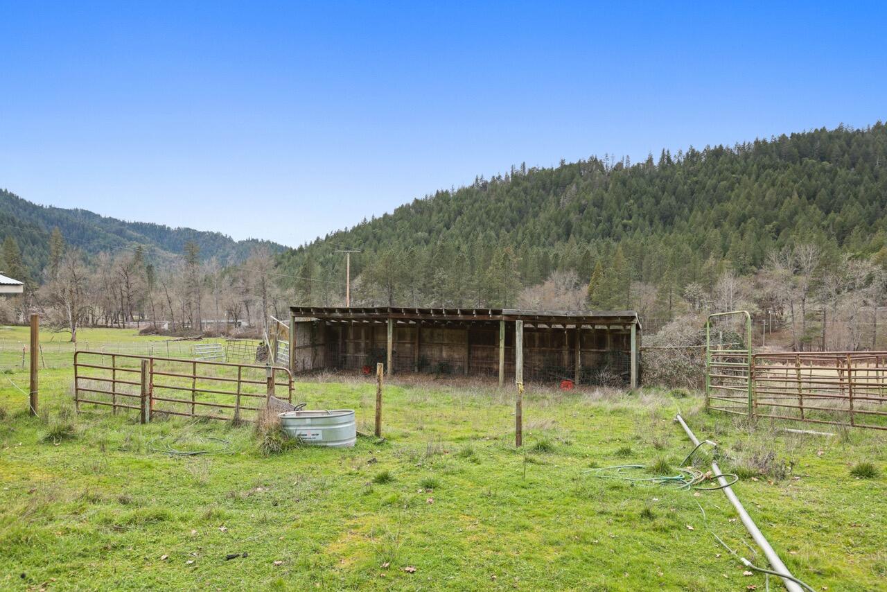 431 Murphy Gulch Road Rogue River, OR 97537 - Photo 28 of 35 EP1A7912 Large