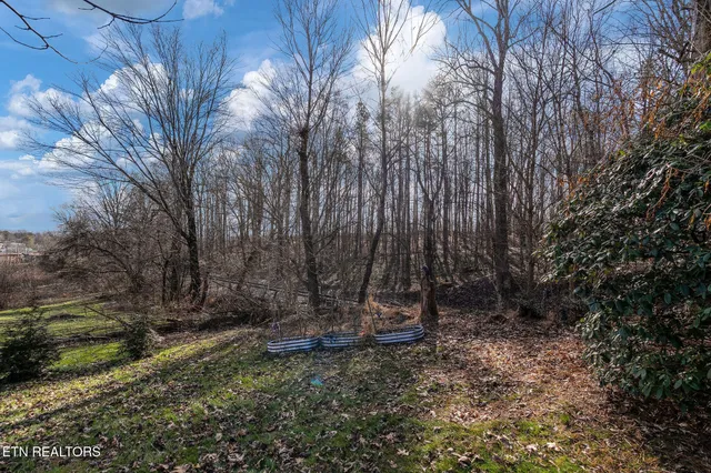 $250,000 | 715 Robin Drive, New Tazewell, TN 37825