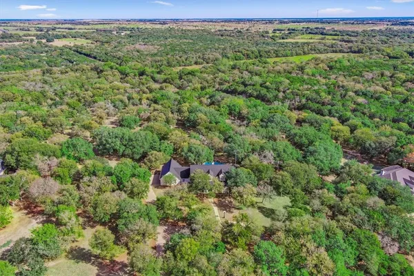 a park view with large trees