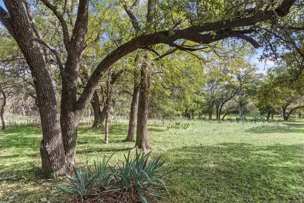 a yard with lots of green space