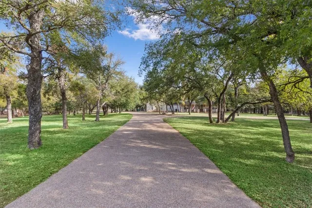 a view of a park with large trees