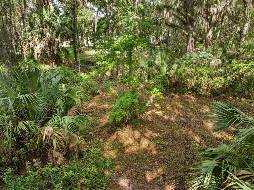 Tbd Southeast Wacahoota Road Micanopy, FL 32667 - Photo 3 of 13 a view of a lush green forest