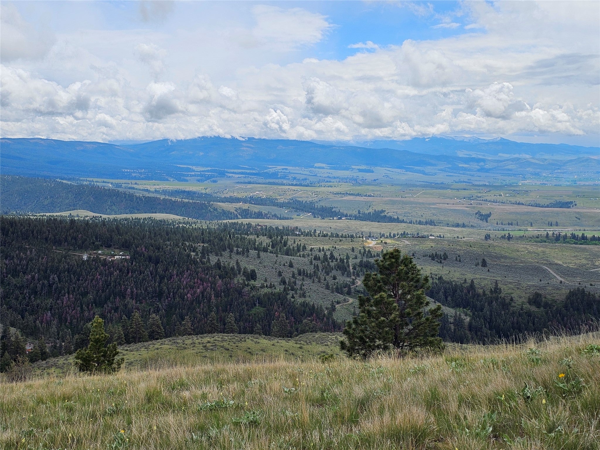 18866 Copper Rdg Trail Florence, MT 59833 - Photo 53 of 139 Gallery Image 53