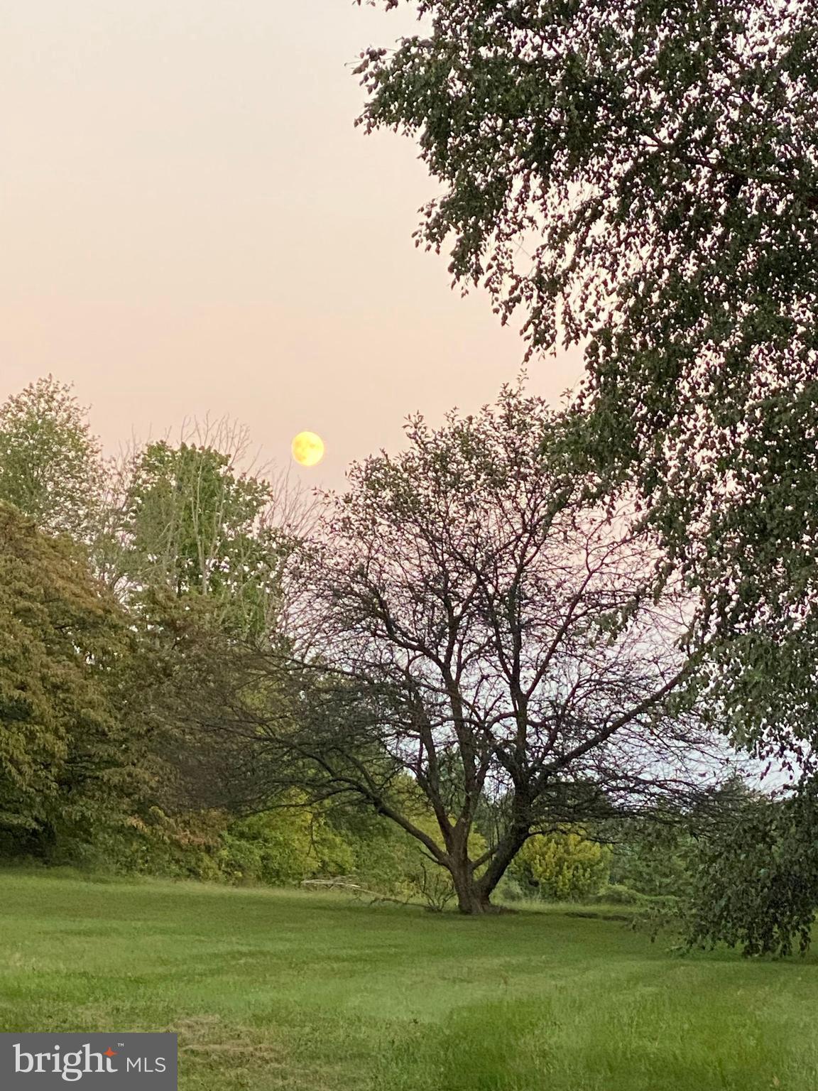 131 Upper State Road Chalfont, PA 18914 - Photo 43 of 43