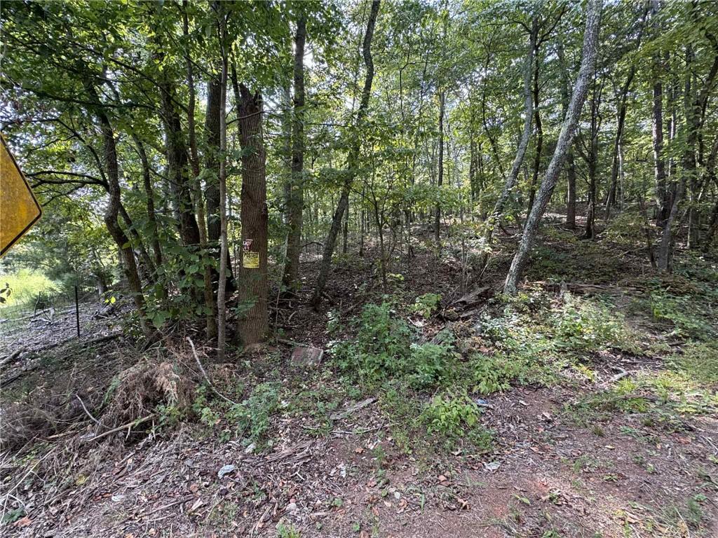 0 Cagle Road Northeast Fairmount, GA 30139 - Photo 12 of 12 a view of a forest with trees in the background
