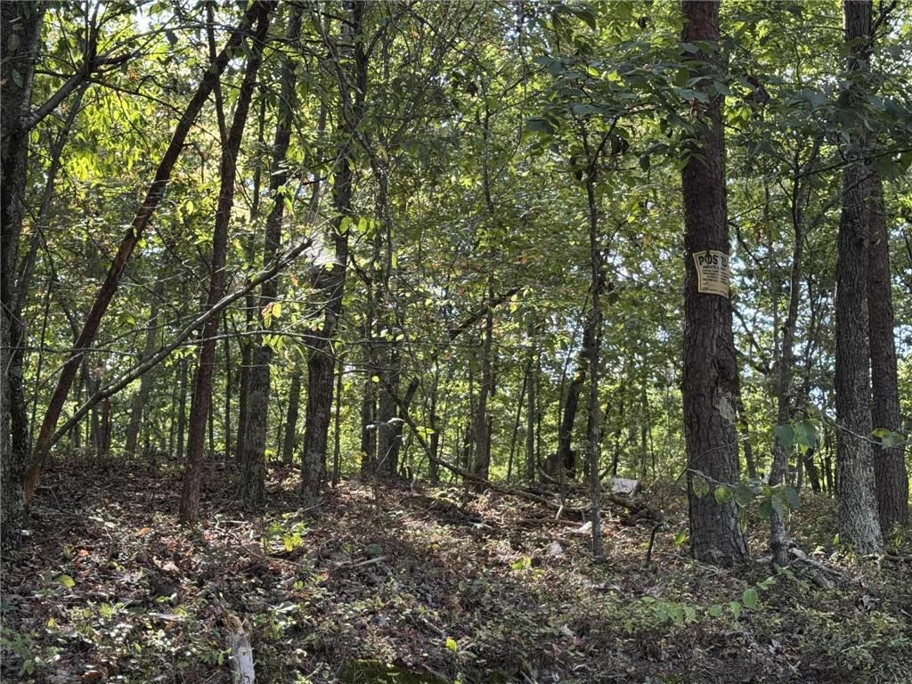 0 Cagle Road Northeast Fairmount, GA 30139 - Photo 4 of 12 a view of forest