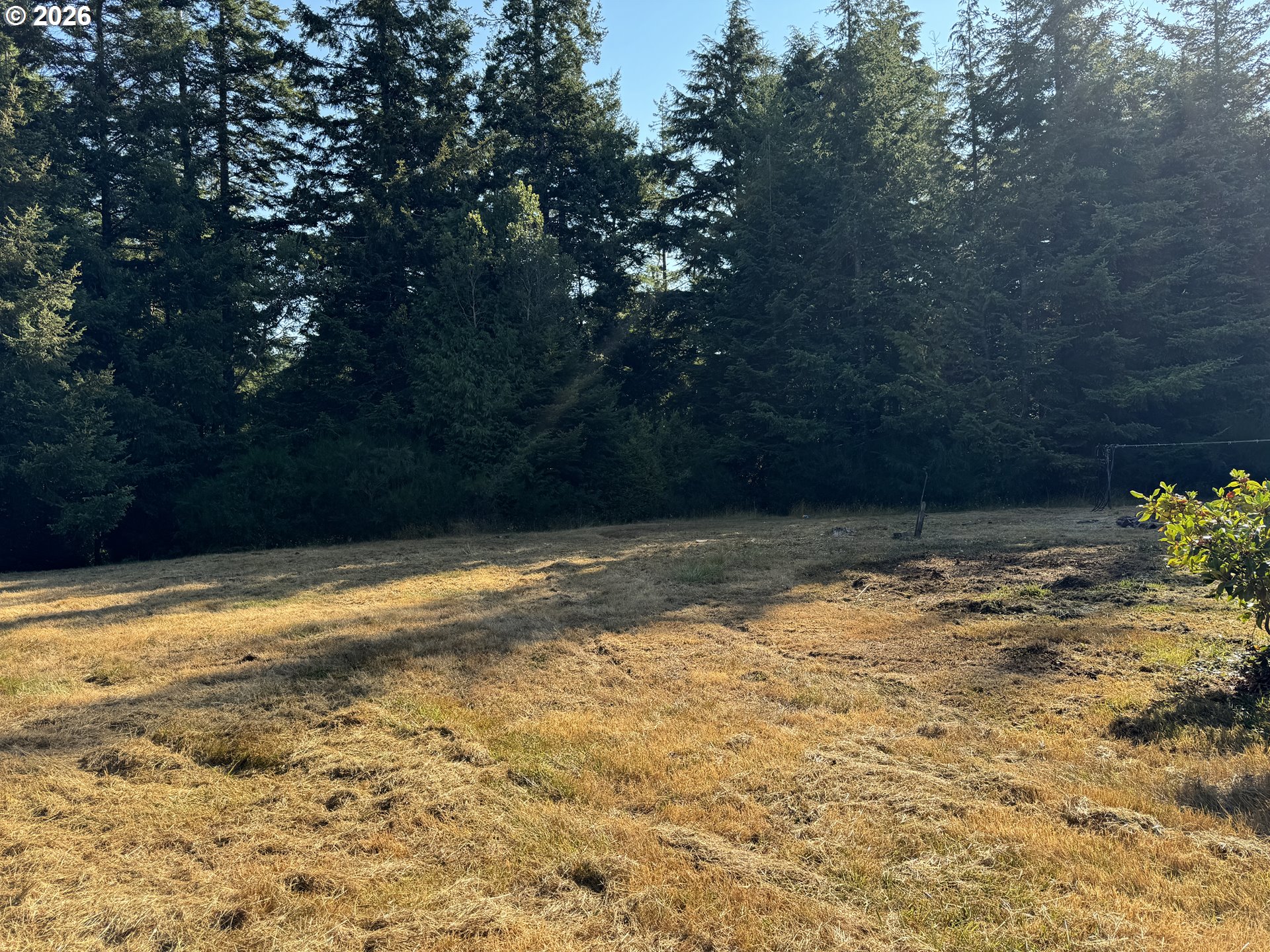 55985 Fishtale Road Bandon, OR 97411 - Photo 7 of 8 a view of a yard