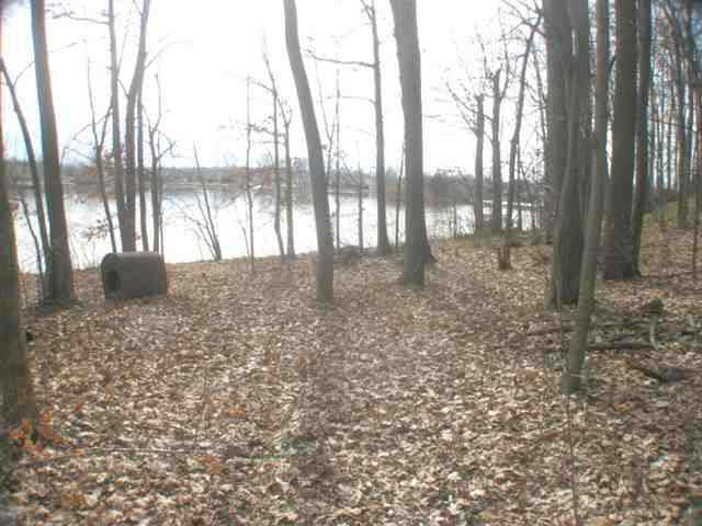 Stephenson Road Onsted, MI 49265 - Photo 8 of 14