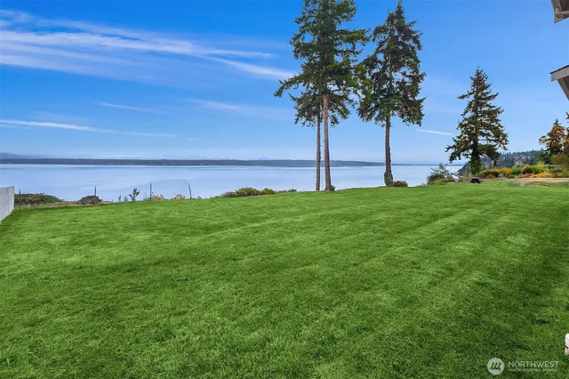 a view of a garden with a tree