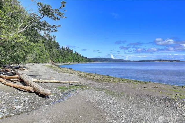 a view of a dry yard with wooden fence