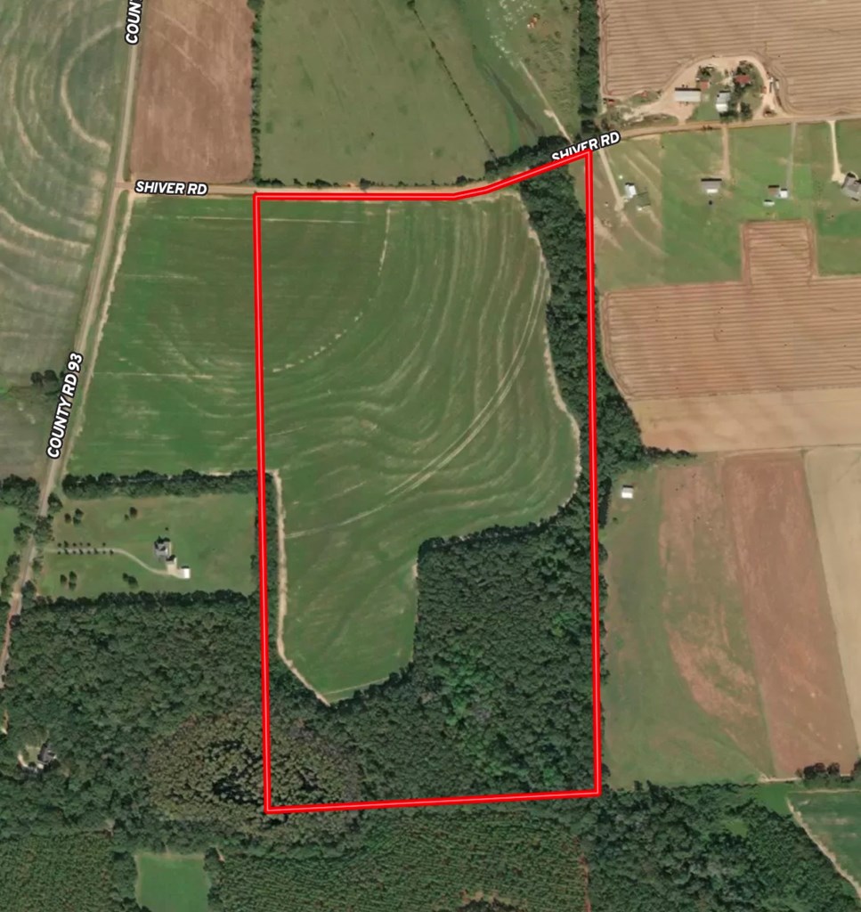 73-acres Shiver Road Daleville, AL 36322 - Photo 5 of 14