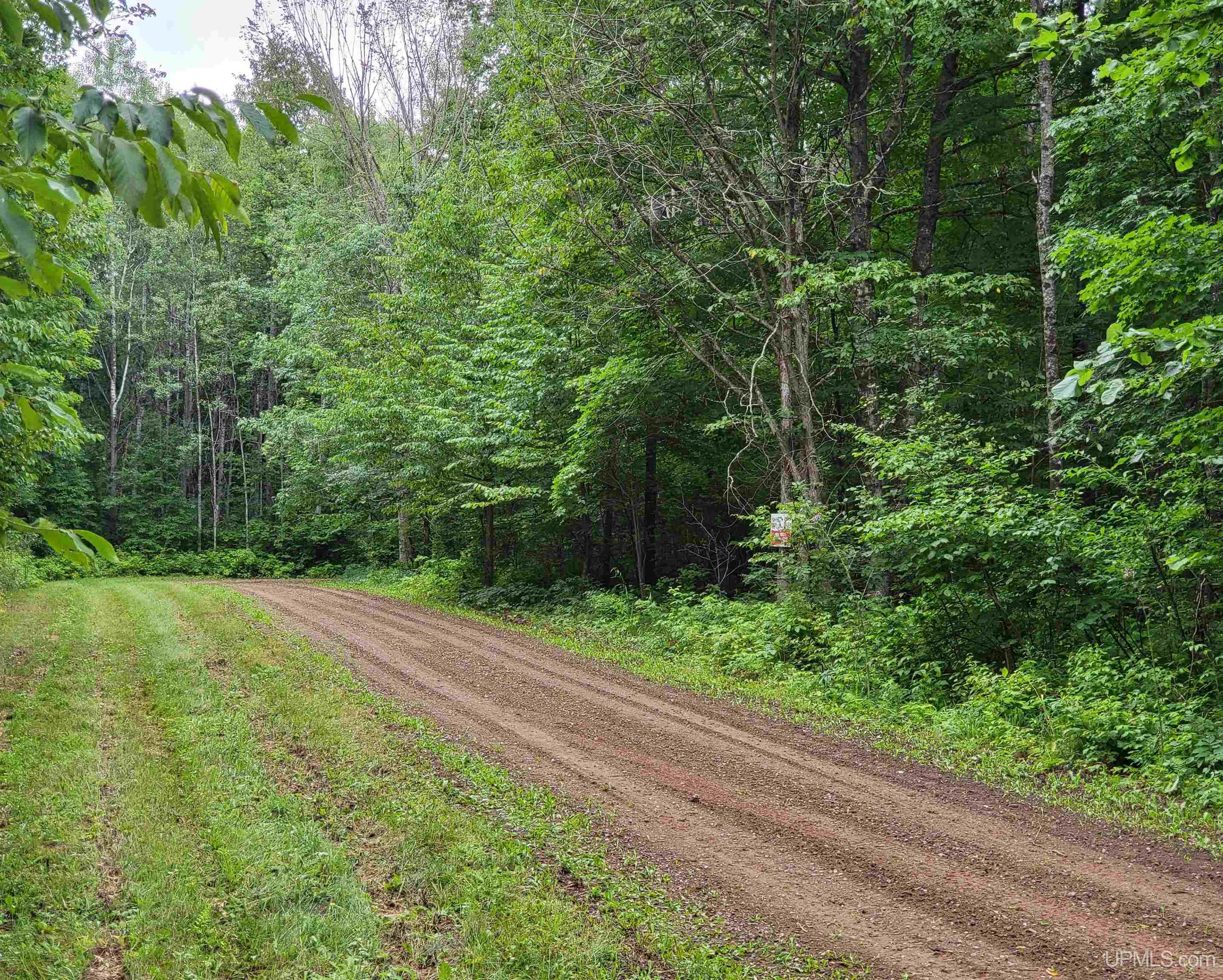 Tipler-wi Dream Lake Road Long Lake, WI 54542 - Photo 1 of 7