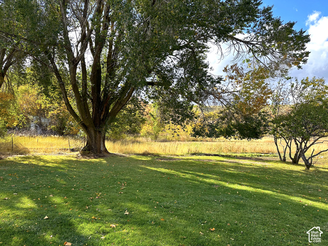 5035 South Hollow Road Logan, UT 84321 - Photo 17 of 19 Expansive green lawn with mature trees and natural landscaping