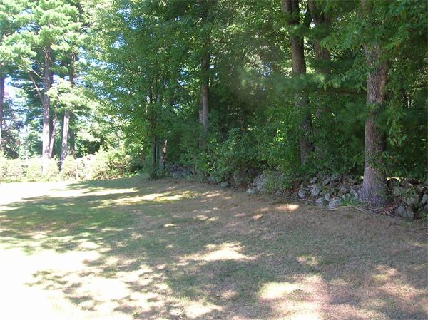 454 Dipping Hole Road Wilbraham, MA 01095 - Photo 14 of 14 a view of a yard with a tree