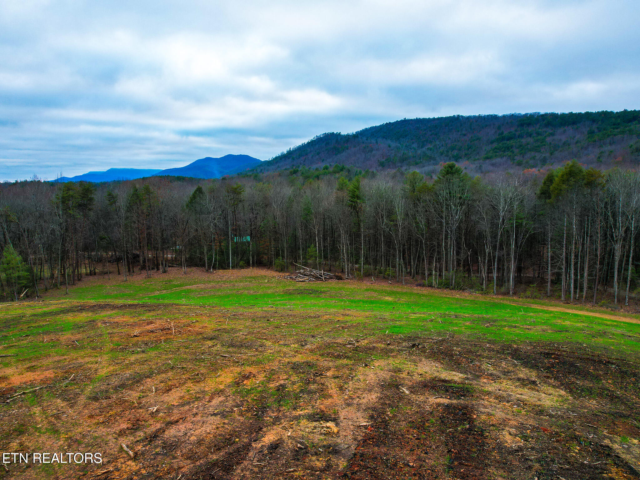 624 Creek Road Tellico Plains, TN 37385 - Photo 8 of 8 624 Creek Rd - 6