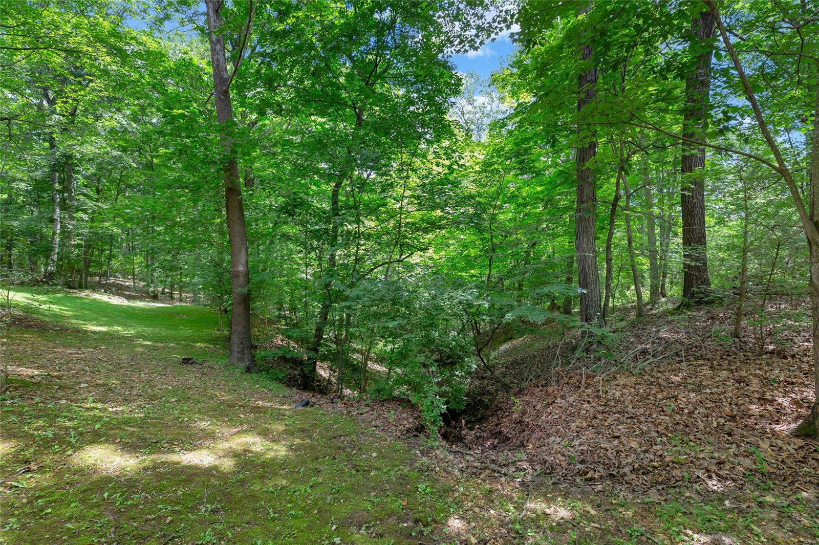 712 Wheatfield Ridge Court Defiance, MO 63341 - Photo 39 of 48 Gallery Image 39