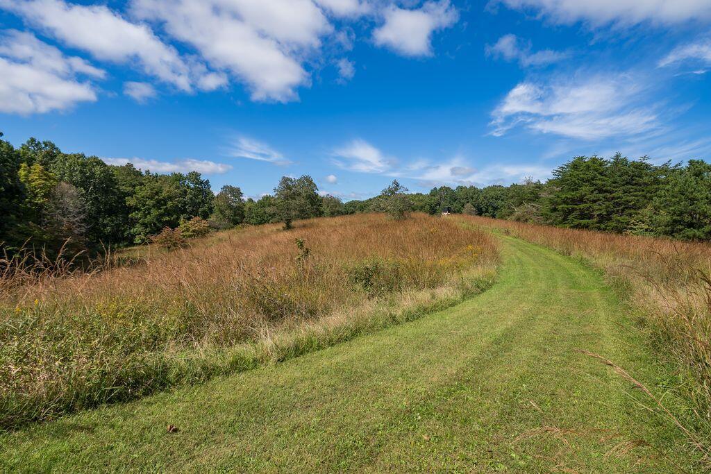 24603 Potter Ridge Road Creola, OH 45622 - Photo 82 of 99 24603 Potter Ridge 00255