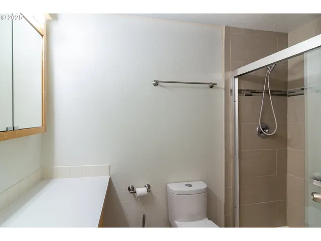 a bathroom with a shower and a toilet