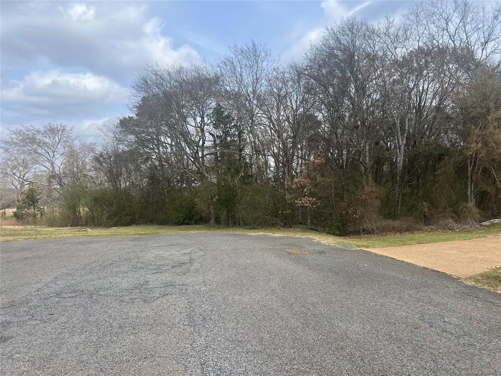 0 Country Place Stonewall, LA 71078 - Photo 3 of 3