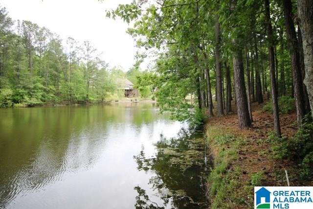 200 Pueblo Pass Anniston, AL 36206 - Photo 41 of 42