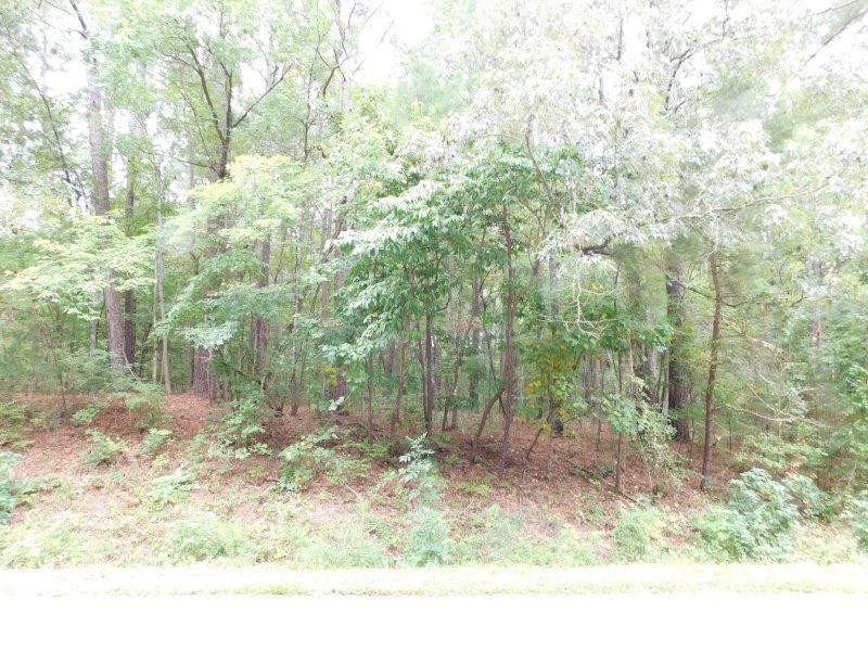 8115 Massey Chapel Road Durham, NC 27713 - Photo 3 of 8 Photo 3