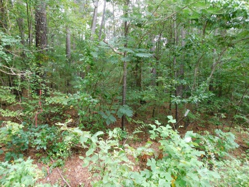 8115 Massey Chapel Road Durham, NC 27713 - Photo 4 of 8 Photo 4