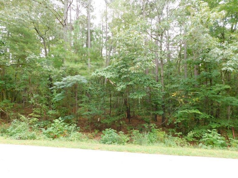 8115 Massey Chapel Road Durham, NC 27713 - Photo 6 of 8 Photo 6