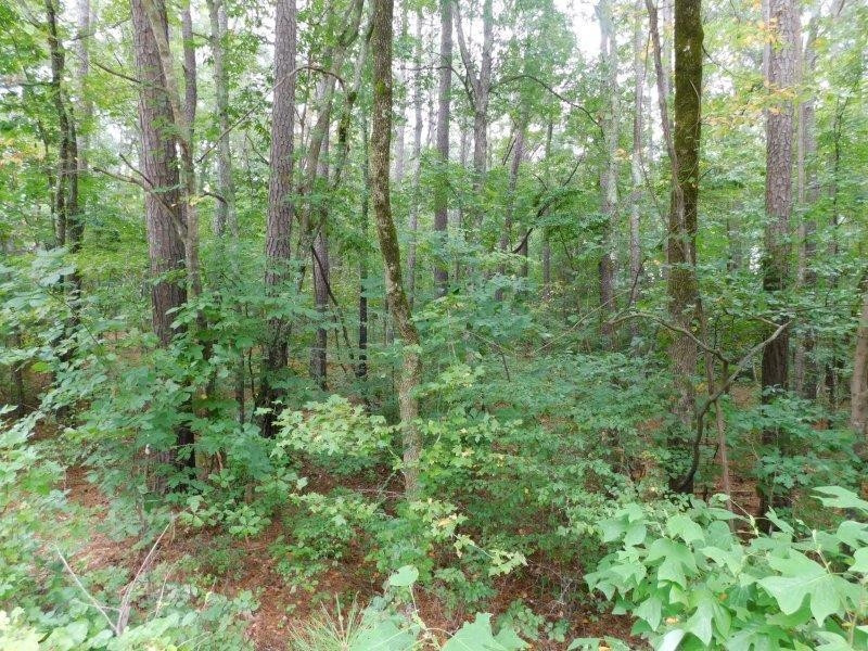 8115 Massey Chapel Road Durham, NC 27713 - Photo 8 of 8 Photo 8