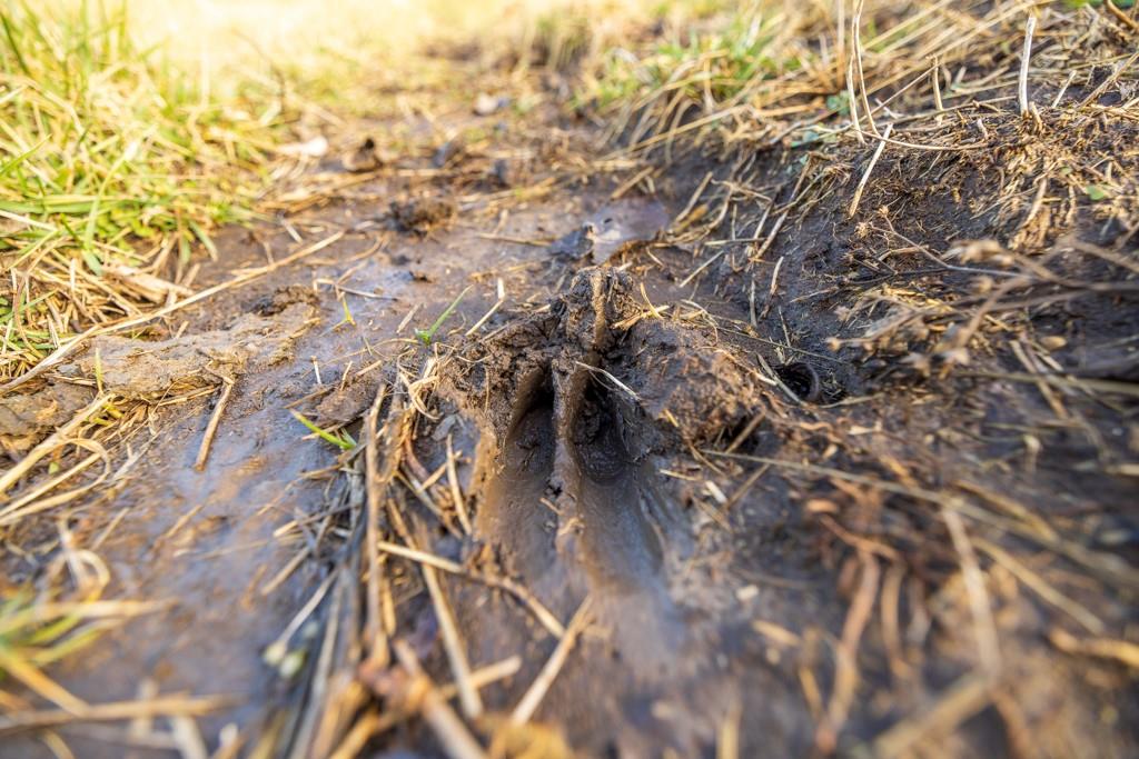 Lot 1 Louisiana Road Princeton, KS 66078 - Photo 29 of 33