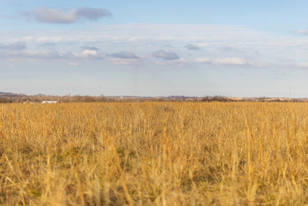 Lot 1 Louisiana Road Princeton, KS 66078 - Photo 32 of 33