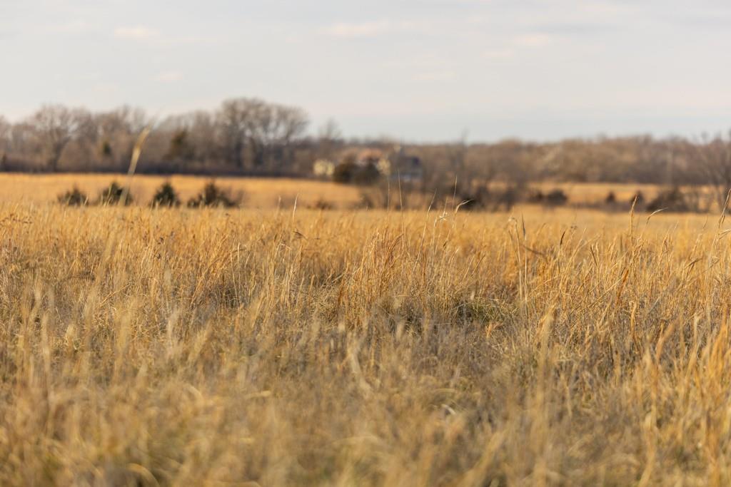 Lot 1 Louisiana Road Princeton, KS 66078 - Photo 6 of 33