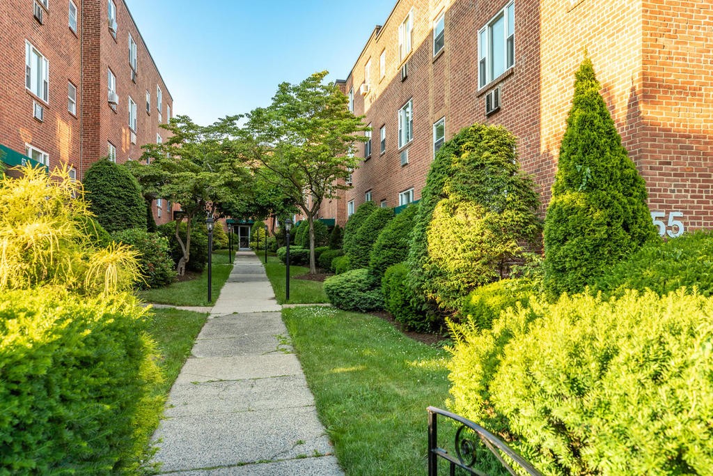55 Colborne Road, Unit 4 Boston, MA 02135 - Photo 2 of 18 Gallery Image 2