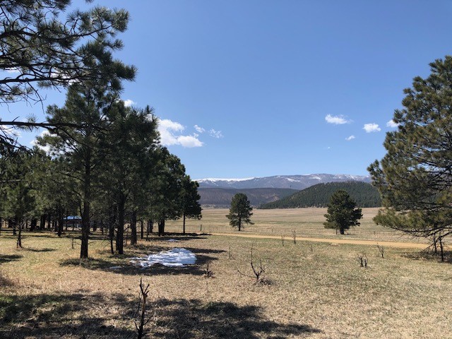 Lot 65 Patron Road Rociada, NM 87742 - Photo 1 of 14